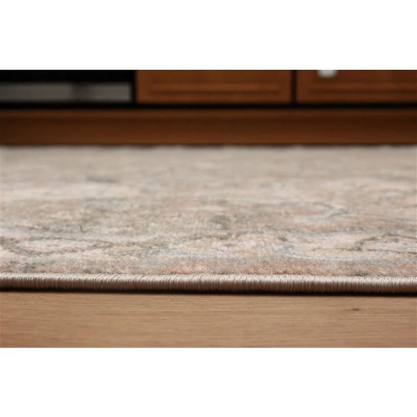 ECARPET Ashby 2.8 x 8.2-ft Tan Polypropylene Traditional Indoor Floral/Medallion Pattern Runner Rug