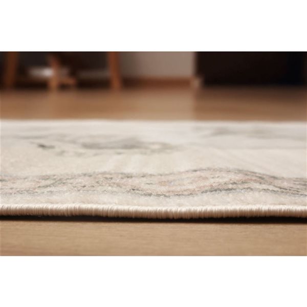 ECARPET Myra 2.8 x 8.2-ft Ivory/Beige/Grey/Pink Polypropylene Traditional Medallion Pattern Runner Rug