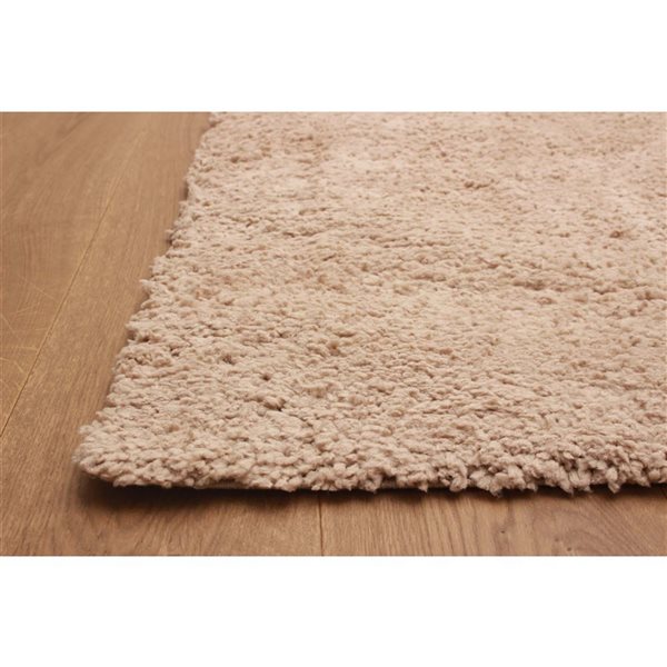 ECARPET Vera 5 x 8-ft Taupe Polyester Contemporary/Modern Indoor Plush and Shags Area Rug