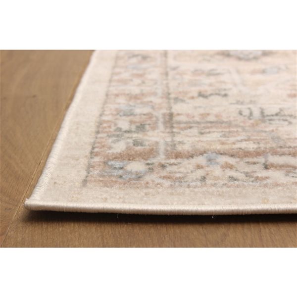 ECARPET Arden 8 x 10-ft Beige Polypropylene Traditional Indoor Floral/Medallion Pattern Area Rug