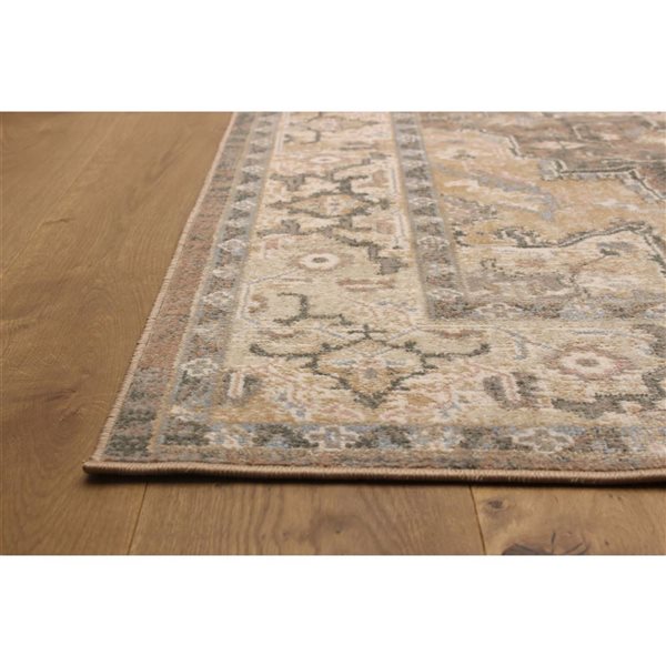 ECARPET Ashby 5 x 8-ft Tan Polypropylene Traditional Indoor Floral/Medallion Pattern Area Rug