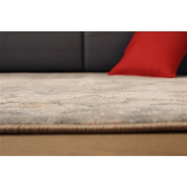 ECARPET Ashby 5 x 8-ft Tan Polypropylene Traditional Indoor Floral/Medallion Pattern Area Rug