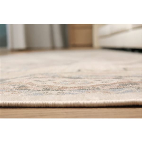 ECARPET Myra 5 x 8-ft Ivory/Beige/Grey/Pink Polypropylene Traditional Medallion Pattern Area Rug