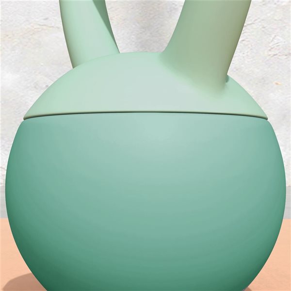 Soozier 22-lb Soft Plastic Training Kettlebell - Green