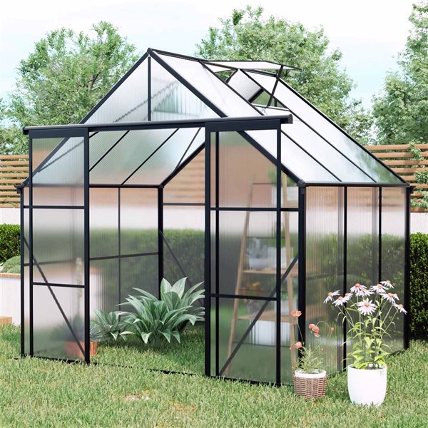 Mondawe 8 x 6-ft Black Aluminum Framed Greenhouse with Polycarbonate Panel