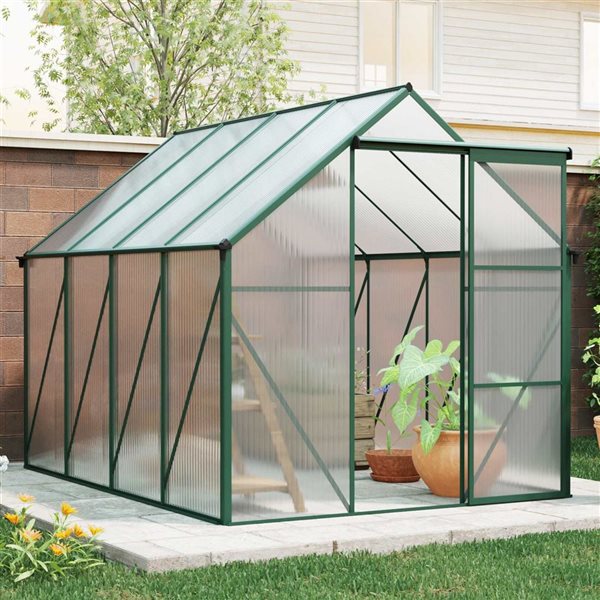 Mondawe 6 x 8-ft Green Aluminum Framed Greenhouse with Polycarbonate Panel