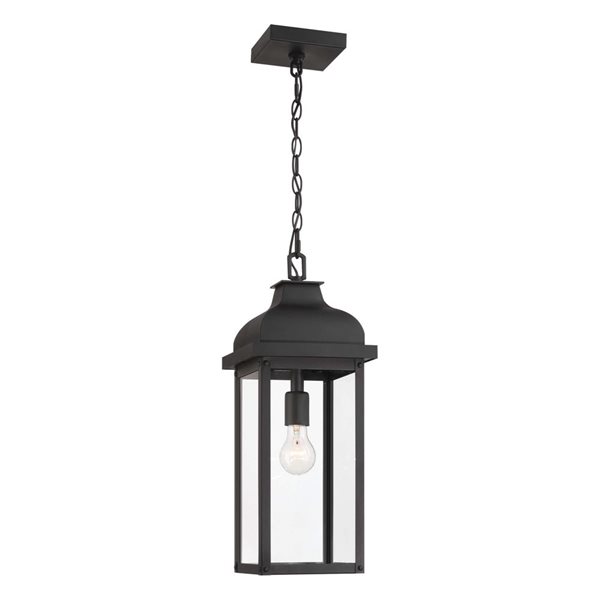 Artcraft Lighting Madrid 1-Light Outdoor Pendant w/ Clear Glass Shade - Black