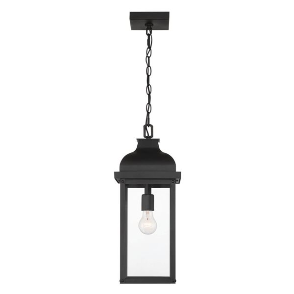 Artcraft Lighting Madrid 1-Light Outdoor Pendant w/ Clear Glass Shade - Black