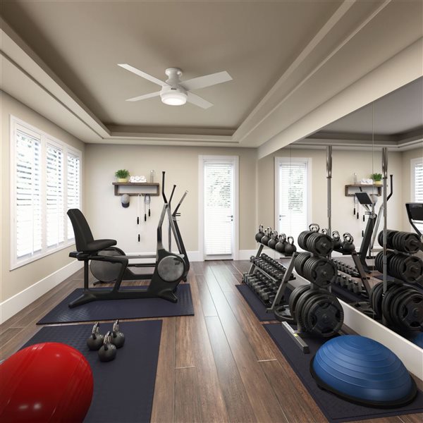 Hunter Dempsey 52-in Low Profile Ceiling Fan w/ LED Light and Handheld Remote - Fresh White