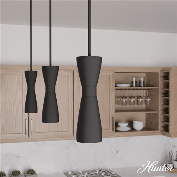 Hunter Zola 1-Light Mini Pendant Light w/ Chain - Matte Black