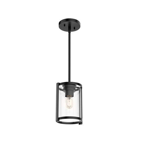 Hunter Astwood 1-Light Pendant Light w/ Clear Light - Matte Black