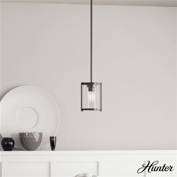 Hunter Astwood 1-Light Pendant Light w/ Clear Light - Matte Black