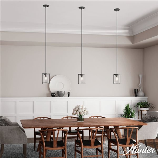 Hunter Astwood 1-Light Pendant Light w/ Clear Light - Matte Black