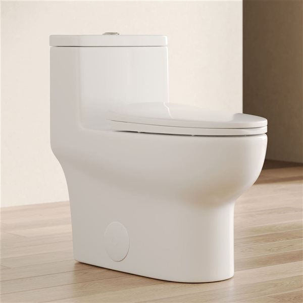 Ally White Elongated Standard Height 12-In Rough-In Dual Flush 6.06 LPF Soft Close 1-Piece Toilet, White/Tan