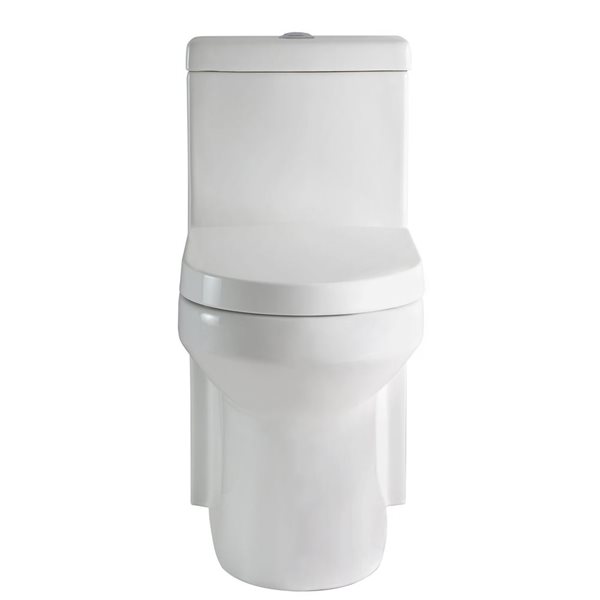 White Round Standard Height 12-In Rough-In Dual Flush 6.06 LPF Soft Close 1-Piece Toilet, White/Tan