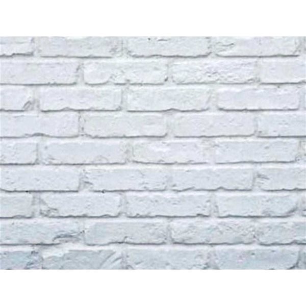 FOAMCORE Newport Aged Brick Wall Panel - 11 x 47.75 x 3/4-in
