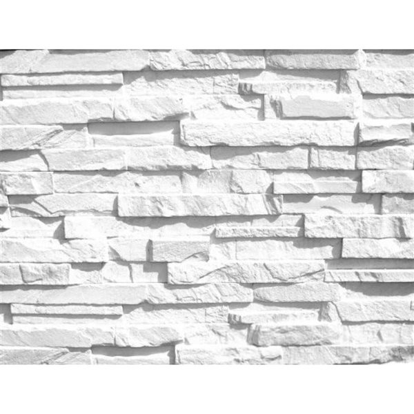 FOAMCORE Franklin Ledge Stone Wall Panel - 47 x 8.25 x 1.5-in