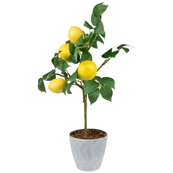 Northlight 20-in Artificial Potted Mini Lemon Tabletop Tree