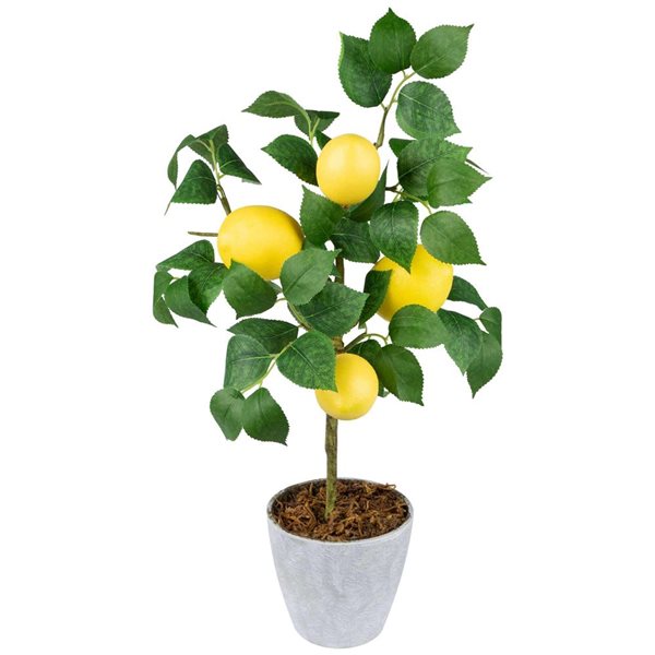 Northlight 20-in Artificial Potted Mini Lemon Tabletop Tree