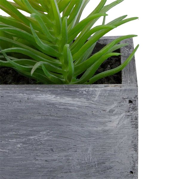 Northlight 12-in Artificial Mixed Succulent Plants - Rectangular Planter