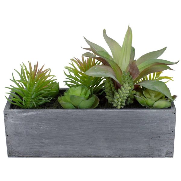 Northlight 12-in Artificial Mixed Succulent Plants - Rectangular Planter