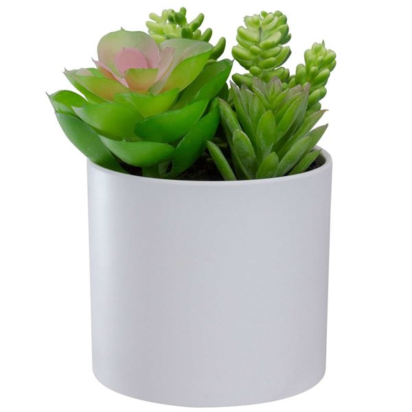 Northlight 5.5-in Mixed Artificial Succulent Arrangement - White Pot