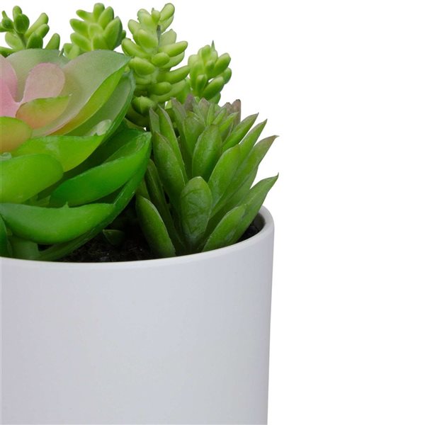 Northlight 5.5-in Mixed Artificial Succulent Arrangement - White Pot
