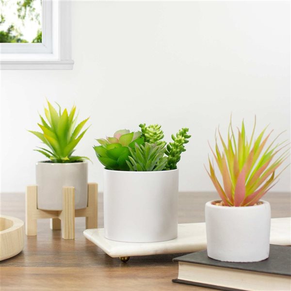 Northlight 5.5-in Mixed Artificial Succulent Arrangement - White Pot