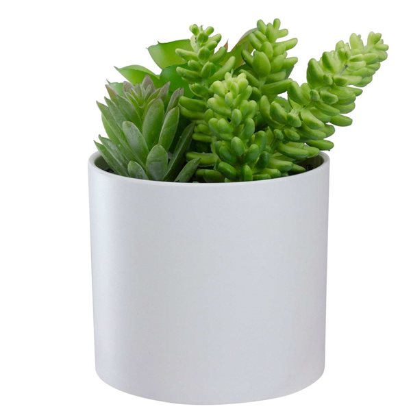 Northlight 5.5-in Mixed Artificial Succulent Arrangement - White Pot