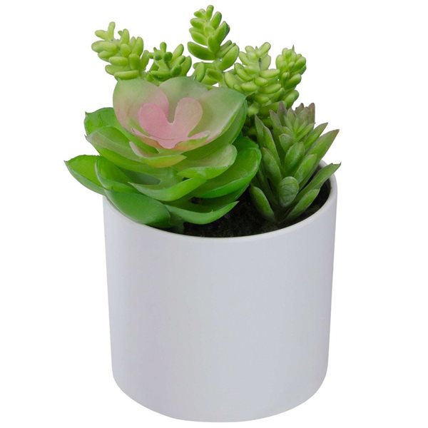 Northlight 5.5-in Mixed Artificial Succulent Arrangement - White Pot