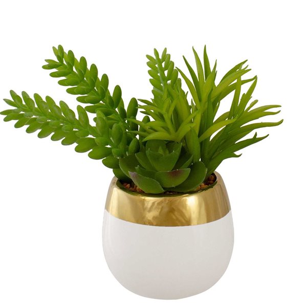 Northlight 6.5-in Mixed Artificial Succulent Arrangement - Ceramic Pot