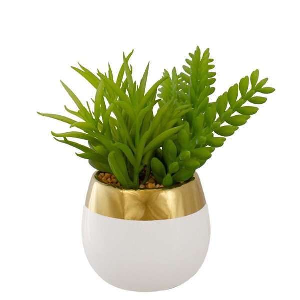 Northlight 6.5-in Mixed Artificial Succulent Arrangement - Ceramic Pot