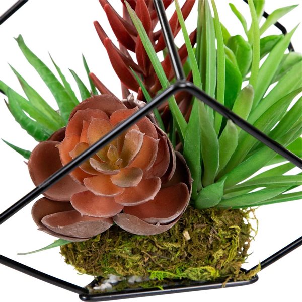 Northlight 7-in Artificial Succulent Arrangement - Metal Wire Frame