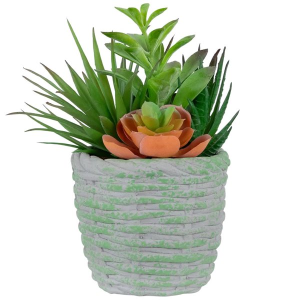 Northlight 8.5-in Potted Artificial Mixed Succulents Decoration - Green