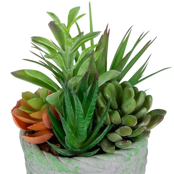 Northlight 8.5-in Potted Artificial Mixed Succulents Decoration - Green