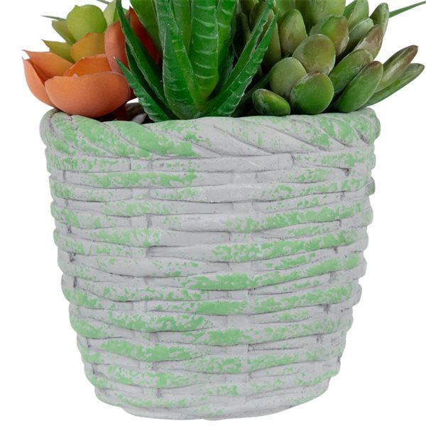 Northlight 8.5-in Potted Artificial Mixed Succulents Decoration - Green