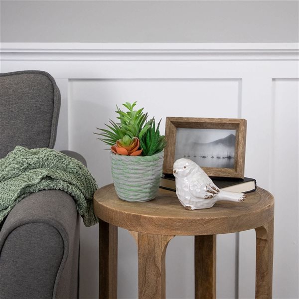 Northlight 8.5-in Potted Artificial Mixed Succulents Decoration - Green