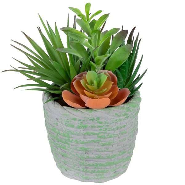 Northlight 8.5-in Potted Artificial Mixed Succulents Decoration - Green