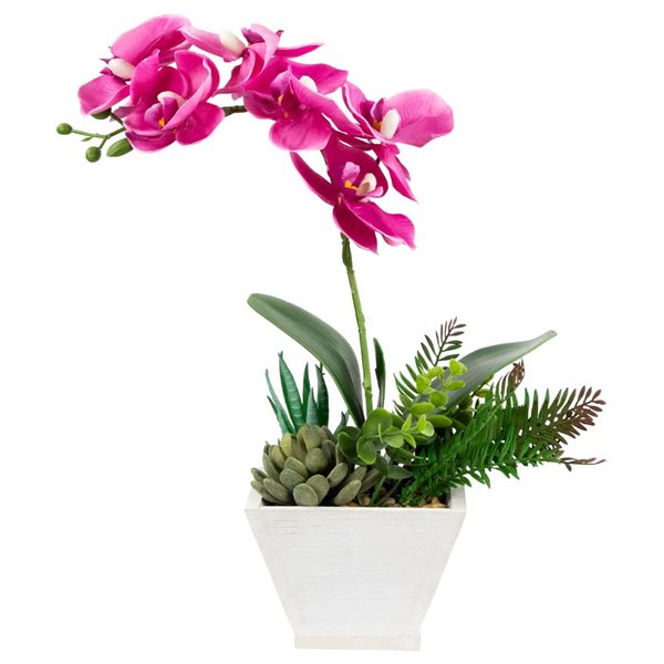 Northlight 13-in Artificial Orchid with Succulent Plants - Dark Pink
