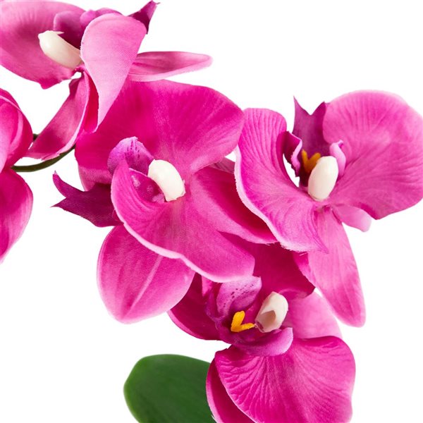 Northlight 13-in Artificial Orchid with Succulent Plants - Dark Pink