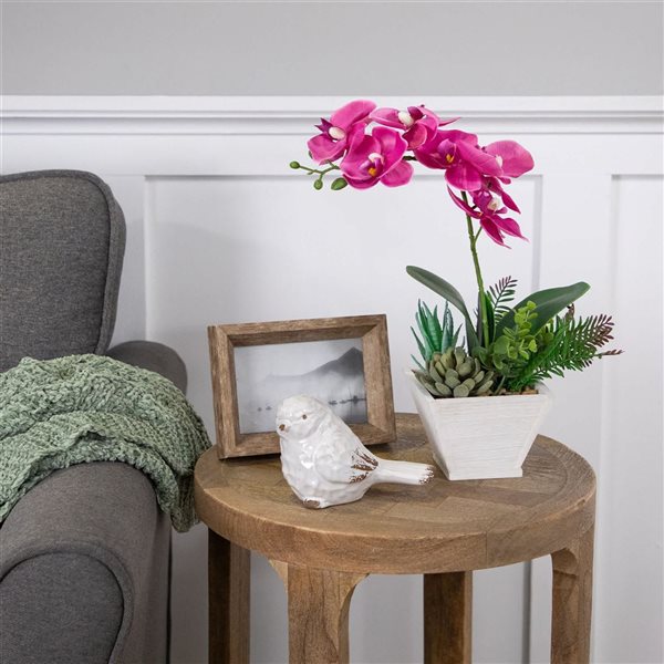 Northlight 13-in Artificial Orchid with Succulent Plants - Dark Pink