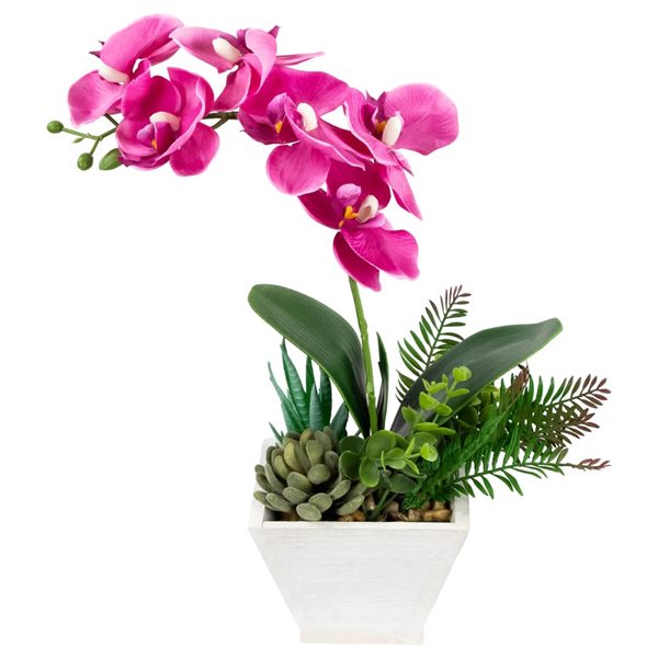 Northlight 13-in Artificial Orchid with Succulent Plants - Dark Pink