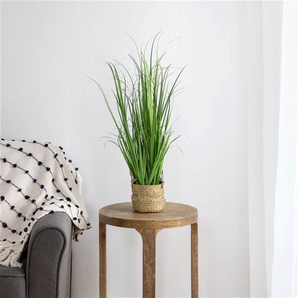 Northlight 28-in Artificial Onion Grass Plant - Basket