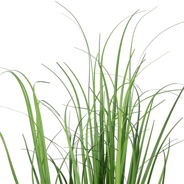 Northlight 28-in Artificial Onion Grass Plant - Basket