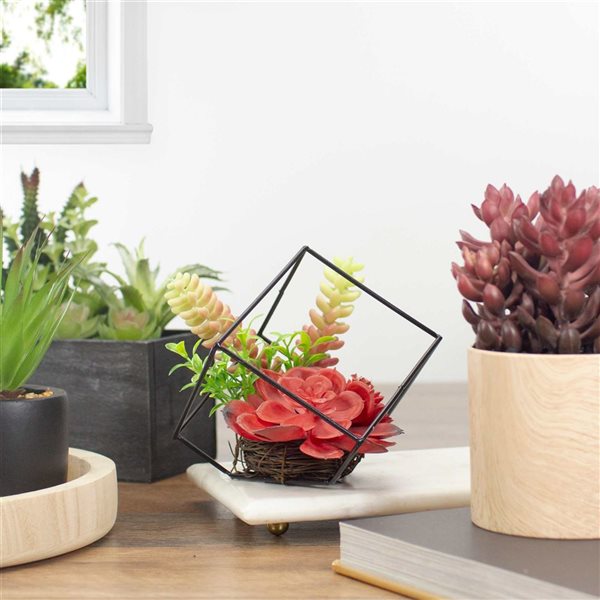 Northlight 5.5-in Artificial Succulent Arrangement - Black Metal Wire Frame