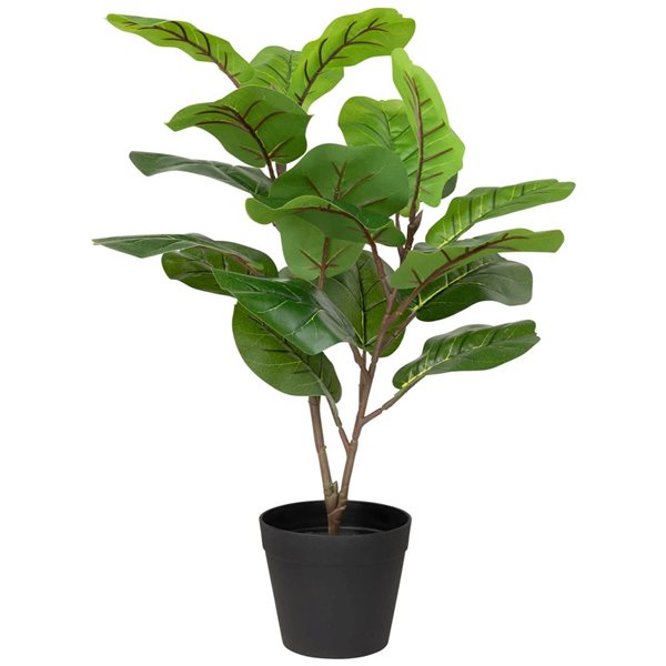 Northlight 26-in Two-Tone Fiddle Leaf Fig Artificial Potted Plant - Green