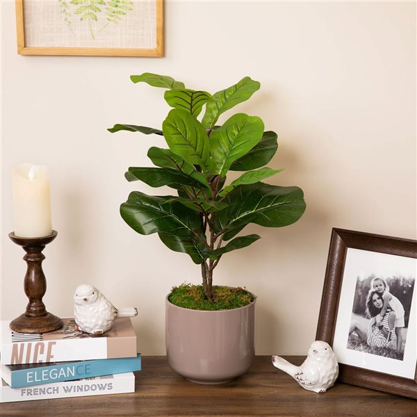 Northlight 26-in Two-Tone Fiddle Leaf Fig Artificial Potted Plant - Green
