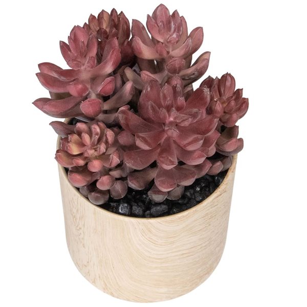 Northlight 7-in Purple Artificial Succulent - Faux Wood Pot