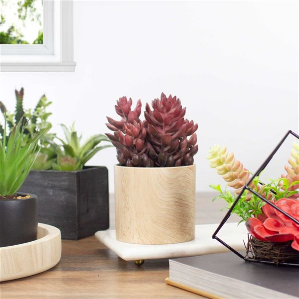 Northlight 7-in Purple Artificial Succulent - Faux Wood Pot
