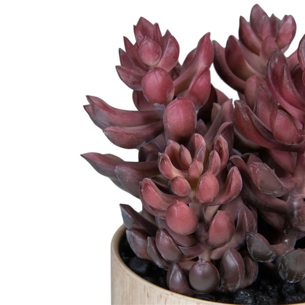 Northlight 7-in Purple Artificial Succulent - Faux Wood Pot